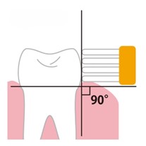 歯に対して90度