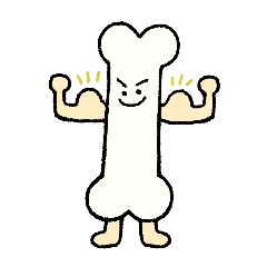 健康な骨のイメージ