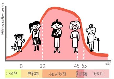 年齢別のホルモンの変化