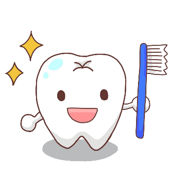 健康な歯のイメージ