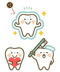 フッ素の効果のイメージ