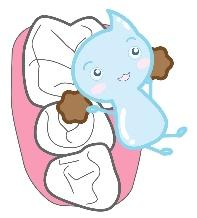 歯の周りをクリーニングしている