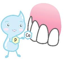 カルシウムやリン酸で歯を修復している